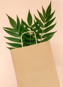 Feuilles de bambous insérées dans un emballage écologique