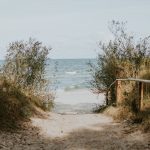 Un paradis naturel en Charente-Maritime cet été Nature, plages et confort 4 étoiles, un séjour inoubliable à découvrir