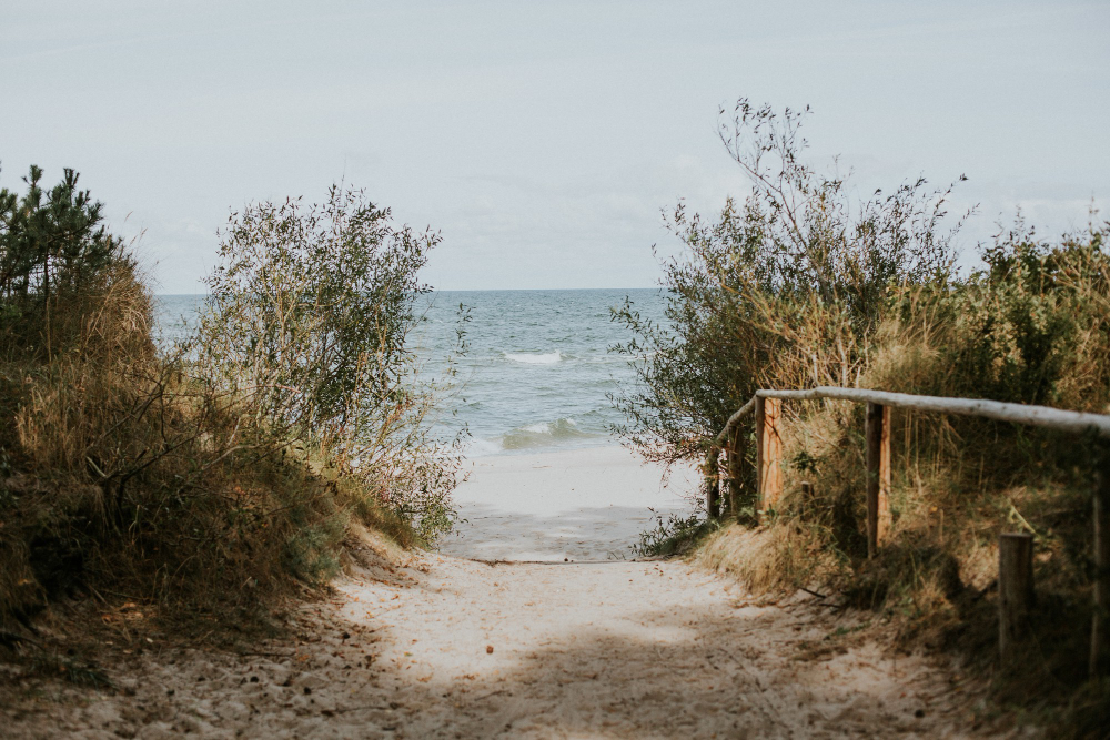 Un paradis naturel en Charente-Maritime cet été Nature, plages et confort 4 étoiles, un séjour inoubliable à découvrir