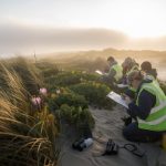 Des naturalistes recensent la flore des dunes sur l’île de Ré
