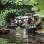 1 marché sur l'eau unique, 6 km de canaux en barque, dans le Marais poitevin, ce rituel fait fureur