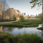 6 000 hectares, 10 % de Bordeaux Métropole, 4 grands parcs, où se cache cette nature à préserver