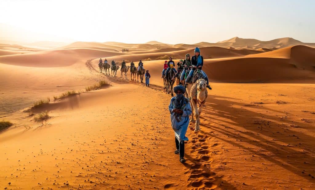 Balade à dos de chameau dans les dunes de Merzouga